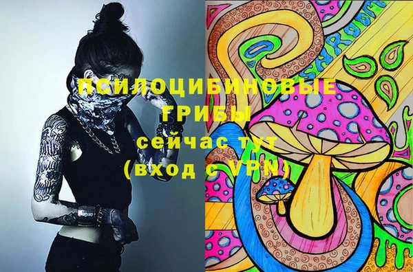 тгк Богданович