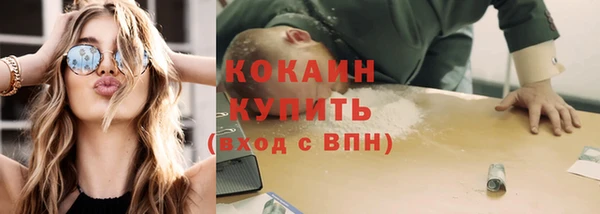 2c-b Богородицк