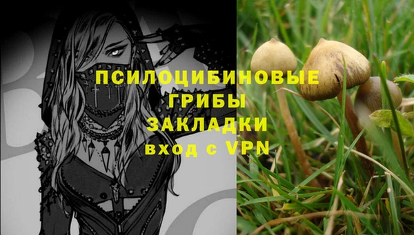 2c-b Богородицк