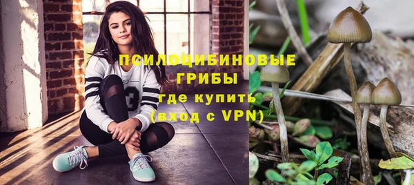 тгк Богданович