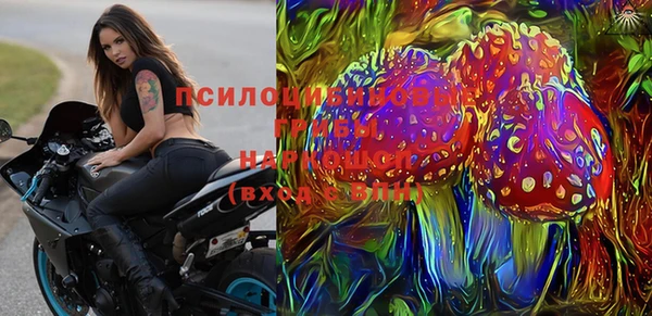 2c-b Богородицк