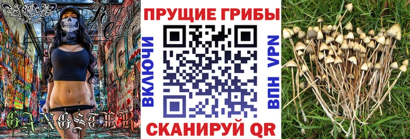 что такое наркотик  Липецк  Галлюциногенные грибы мицелий 